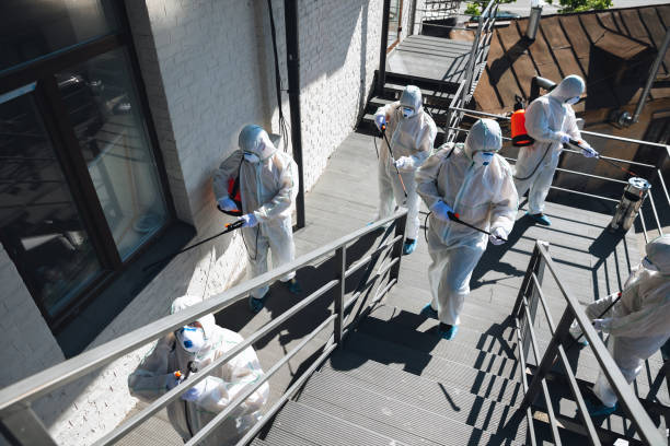 Best Airborne Mold Testing  in Three Rivers, OR