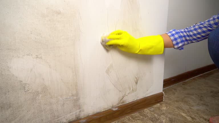 Best Water Damage & Mold Remediation  in Three Rivers, OR