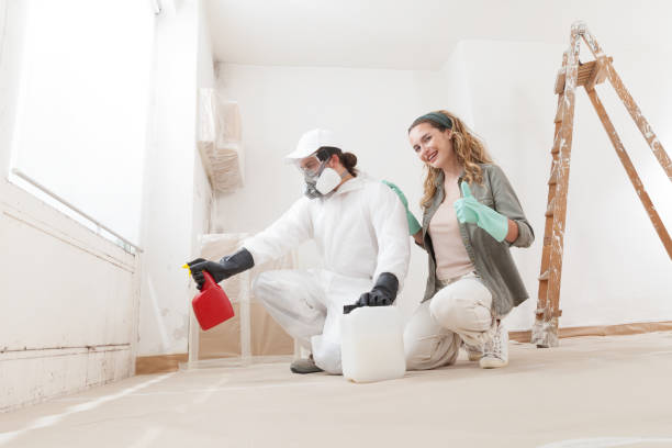 Best Mold Remediation for Rental Properties  in Three Rivers, OR